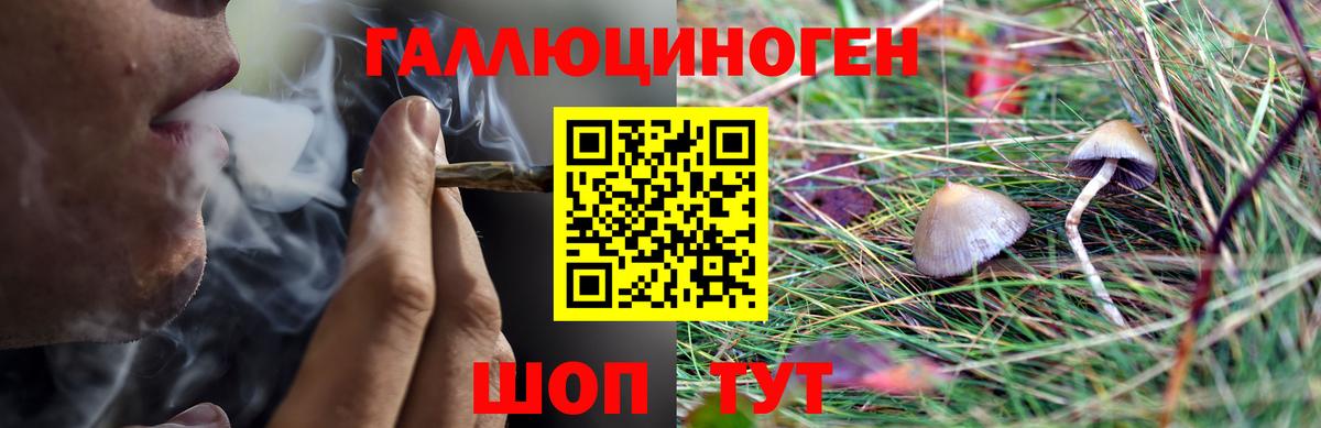 Шумерля  Галлюциногенные грибы Cubensis  Вход с VPN  Псилоцибиновые грибы мухоморы 