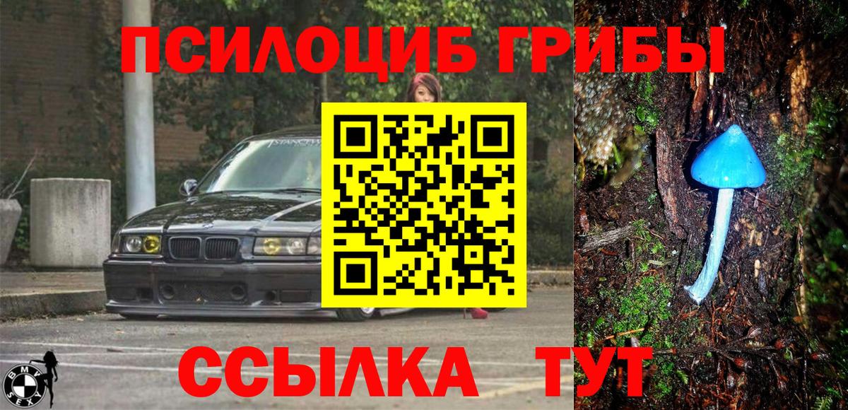 Псилоцибиновые грибы мухоморы Шумерля